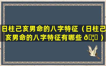 日柱己亥男命的八字特征（日柱己亥男命的八字特征有哪些 🦄 ）